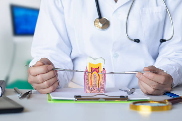 Best Dental Abscess Treatment in Jonesville, MI